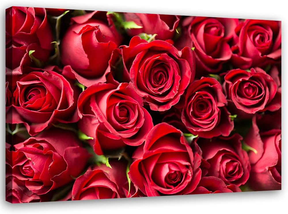 Feeby Bild auf Leinwand Blumen Rote Rosen XXL 120x80 cm 1Teilig Wohnzimmer Schlafzimmer Bilder Wandb