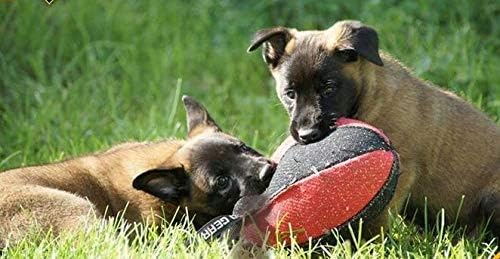 Dingo Gear Trainings-Spielzeug Nylcott French Material Training Spiel Apport IGP K9 Obedience Apport
