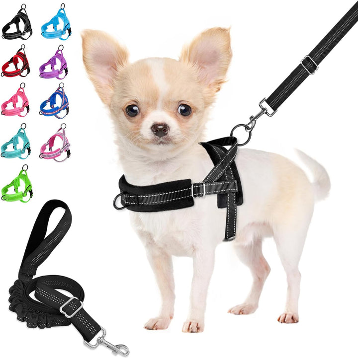Eyein No-Pull Hundegeschirr mit Leine, Geschirr mit Weich Gepolstertes, Reflektierend, Verstellbares