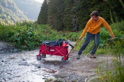 Coleman Bollerwagen Camping Wagon, Handwagen faltbar, klappbarer Transportwagen, belastbar bis 85 kg