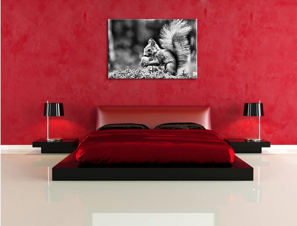 Pixxprint Eichhörnchen mit Nuss / 100x70cm Leinwandbild bespannt auf Holzrahmen/Wandbild Kunstdruck