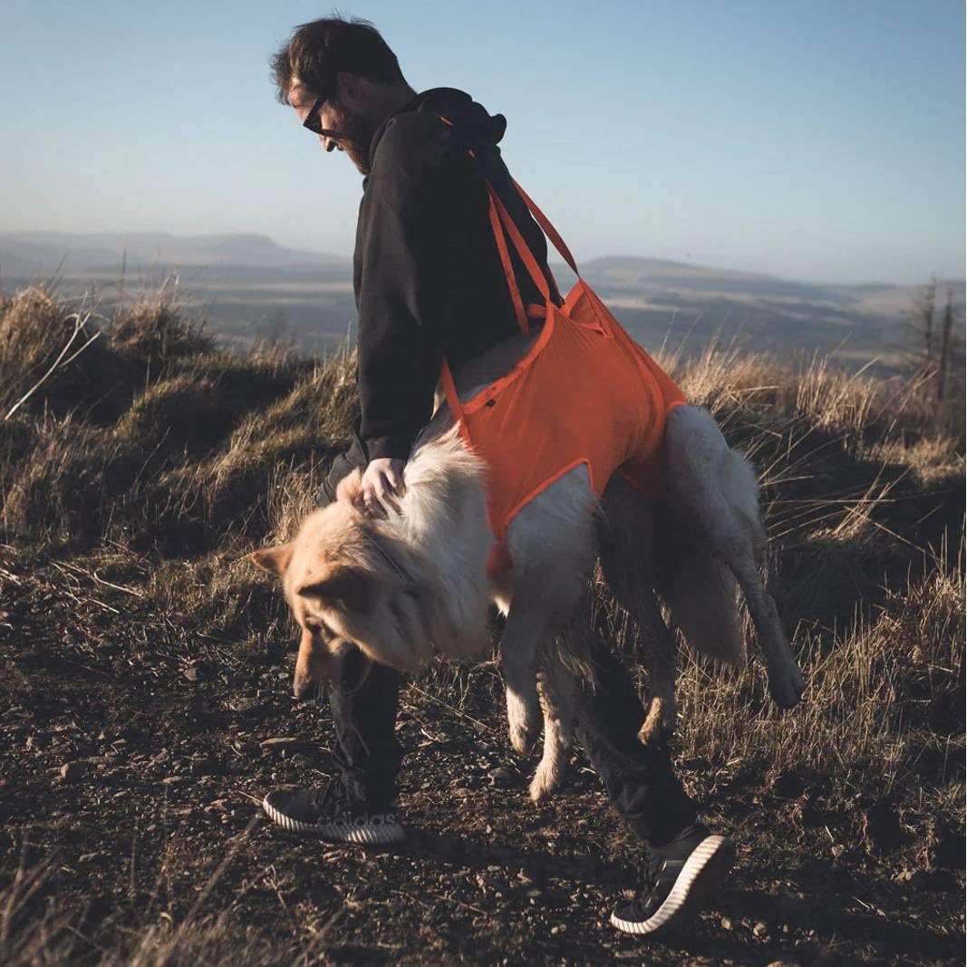 Non-Stop Dogwear Dog Rescue Sling Orange - L