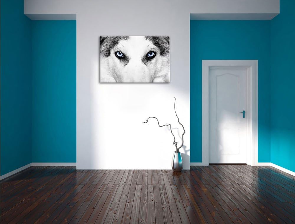Husky mit Eisblauen Augen Format: 100x70 auf Leinwand, XXL riesige Bilder fertig gerahmt mit Keilrah