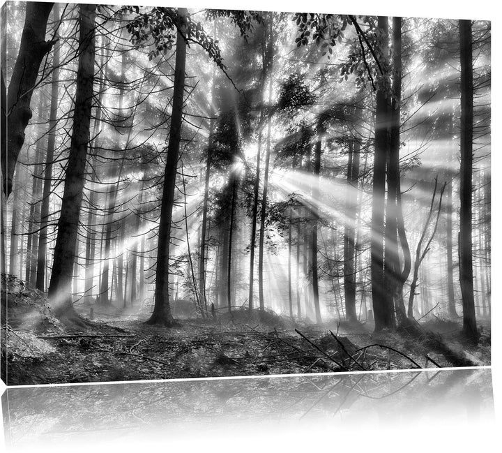 Pixxprint diesiger Waldweg / 100x70cm Leinwandbild bespannt auf Holzrahmen/Wandbild Kunstdruck Dekor