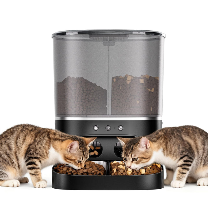 Futterautomat Katze, 2 Näpfe automat Katzenfutter mit APP, 8L Doppel Futterspender Katze, 2.4G WiFi