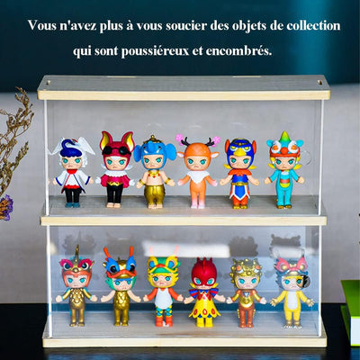 Joody Vitrine aus Acryl, Plexiglas-Boxen mit 2 Ebenen, Vitrine mit Tür für Pop-Figuren, Minifigur, S