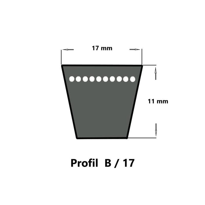 SWR Keilriemen B220 - 17 x 5600 Li, klassisch