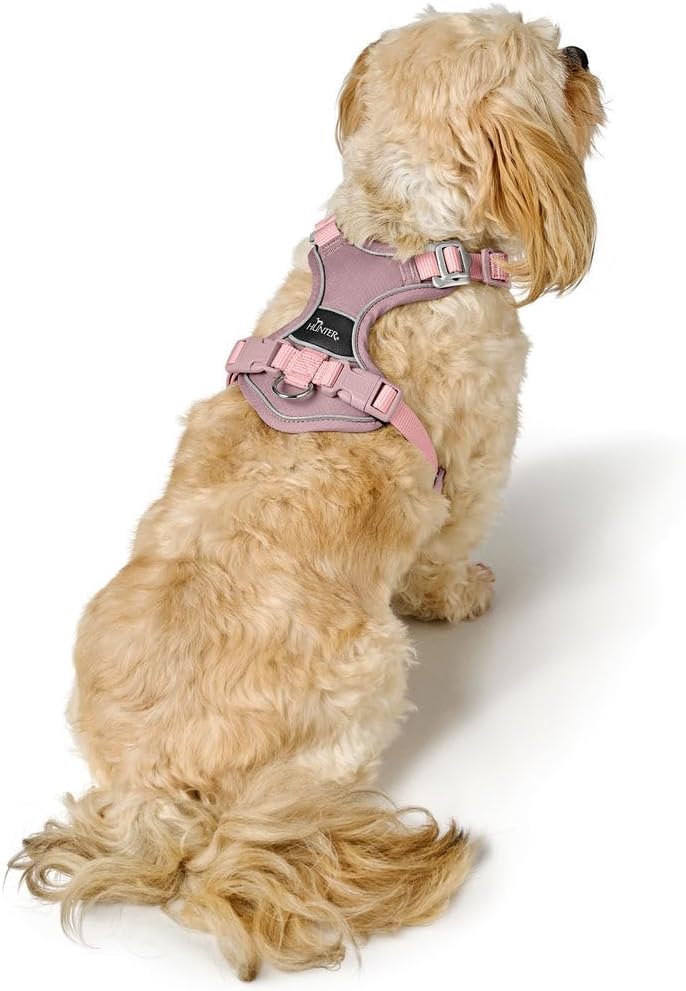 Geschirr Divo Up Farbe Altrosa, Grösse L-XL L-XL altrosa, L-XL altrosa