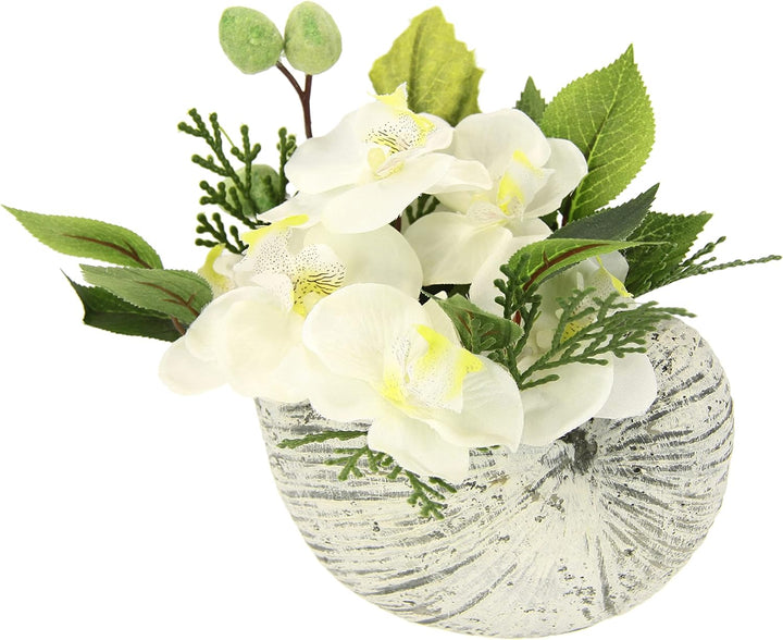 Flair Flower Künstliche Orchidee in Muschel Schale Künstliche Blume Phalaenopsis Kunstorchidee Rispe