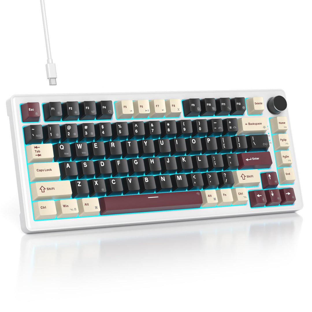 SOLIDEE Verkabelte Mechanische Gaming Tastatur 75 Prozent, Hot-Swap-Fähig Mit Gasket Struktur, RGB H