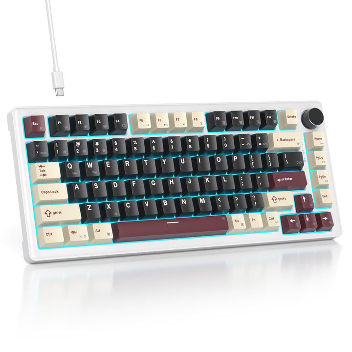 SOLIDEE Verkabelte Mechanische Gaming Tastatur 75 Prozent, Hot-Swap-Fähig Mit Gasket Struktur, RGB H