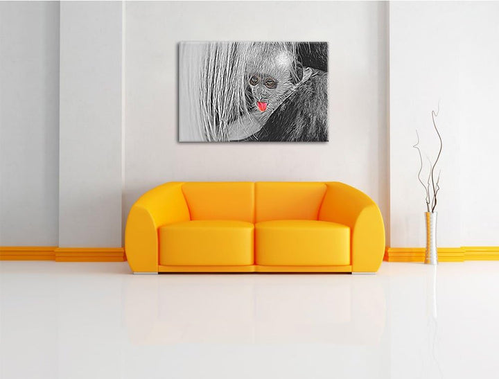 bildschönes Colobus-Äffchen schwarz/weiss Deluxe Format: 100x70 cm auf Leinwand, XXL riesige Bilder