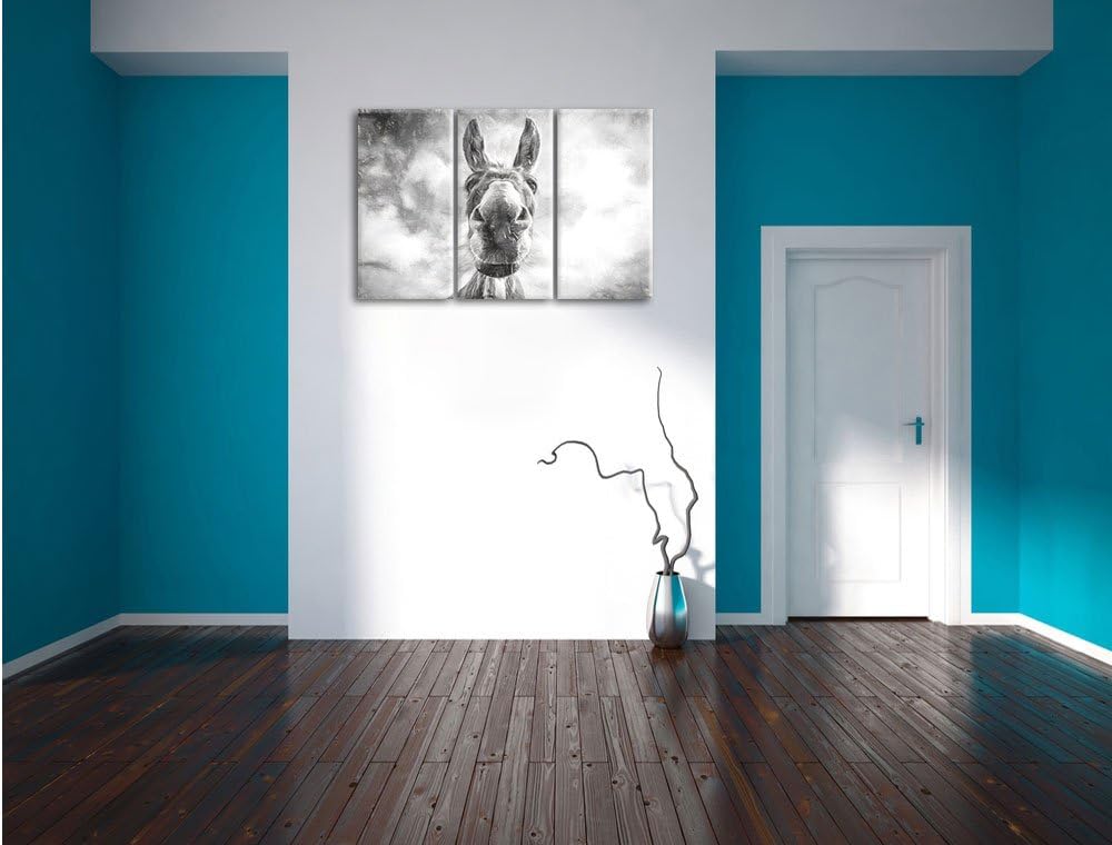 Pixxprint Lustiger Esel Kunst als Leinwandbild | Grösse: 3 Teilig (120x80) | Wandbild| Kunstdruck |
