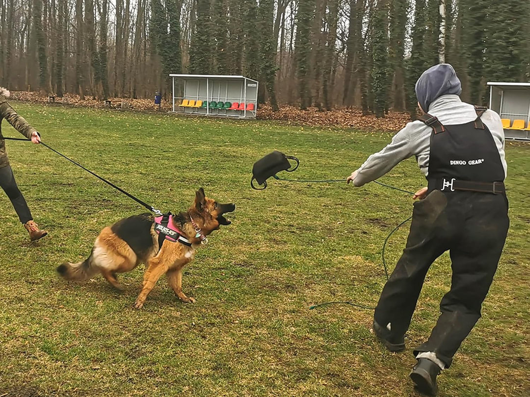 Dingo Gear Beisskissen Keilform Mini Weicher aus Baumwolle-Nylon Schwarz Welpen und Junge Hunde Ausb