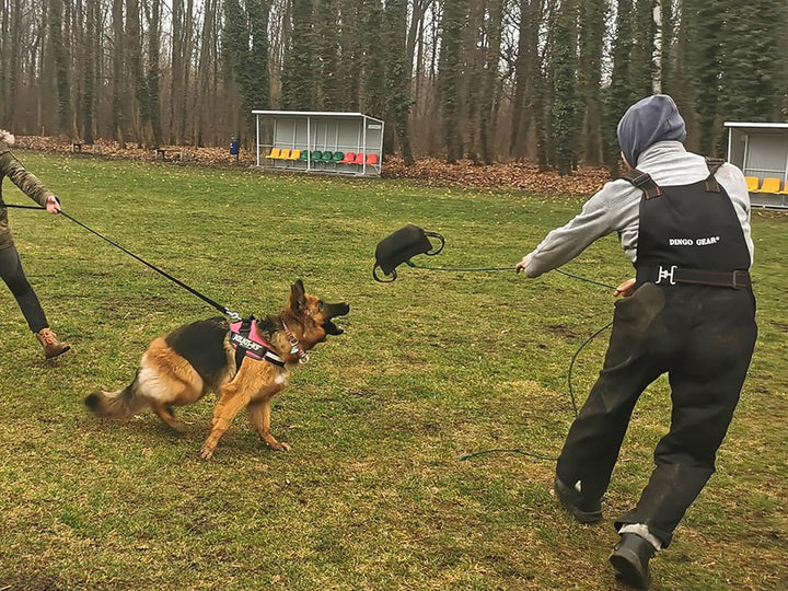 Dingo Gear Beisskissen Keilform Mini Weicher aus Baumwolle-Nylon Schwarz Welpen und Junge Hunde Ausb