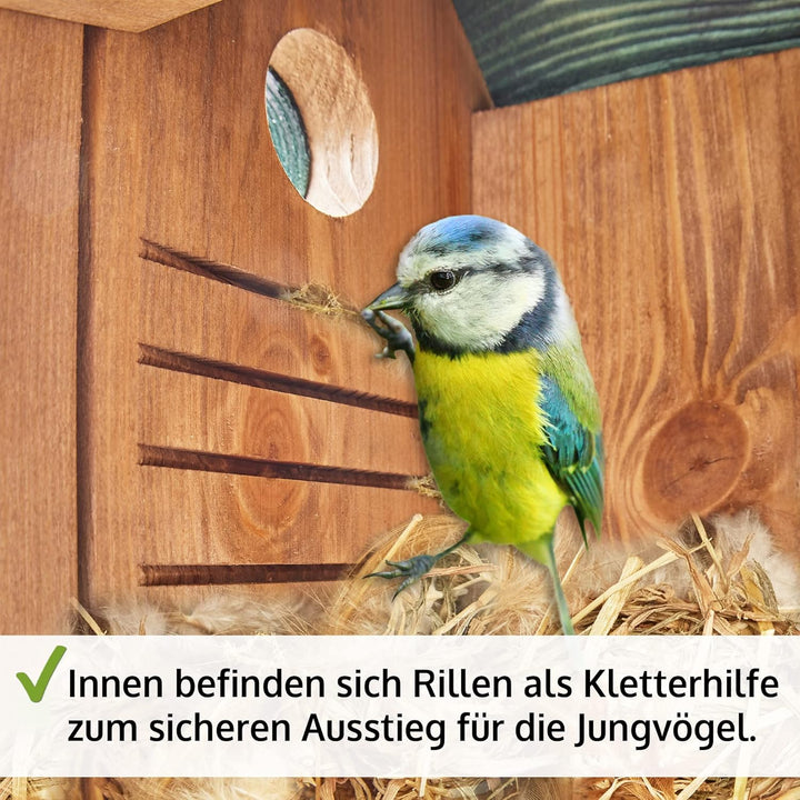 zooprinz Stabiler Nistkasten für Wildvögel/Gartenvögel mit sicherem Schutz gegen Nesträuber – witter