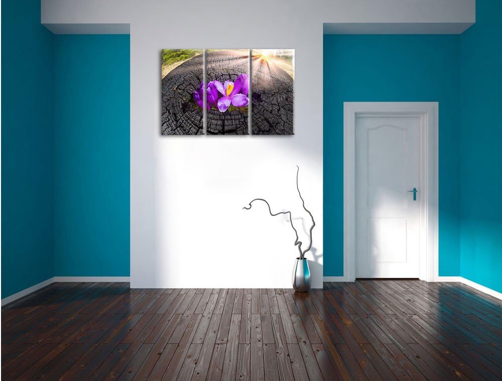 Pixxprint Die Kraft der Natur als Leinwandbild - Grösse: 3-Teilig (120x80cm) - Wandbild - Kunstdruck