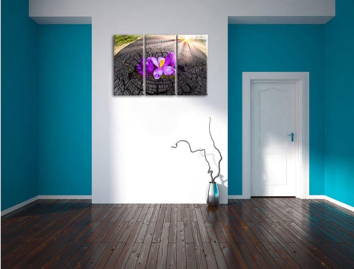 Pixxprint Die Kraft der Natur als Leinwandbild - Grösse: 3-Teilig (120x80cm) - Wandbild - Kunstdruck