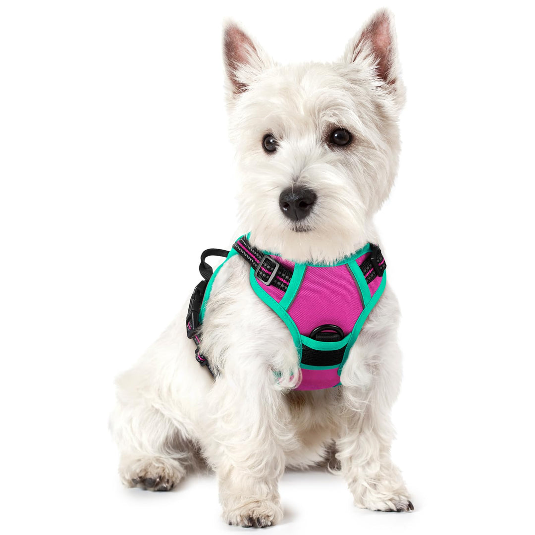 rabbitgoo Hundegeschirr Mittelgrosse Hunde, Anti Zug Geschirr mit Kontrolle, No Pull Verstellbar Hun