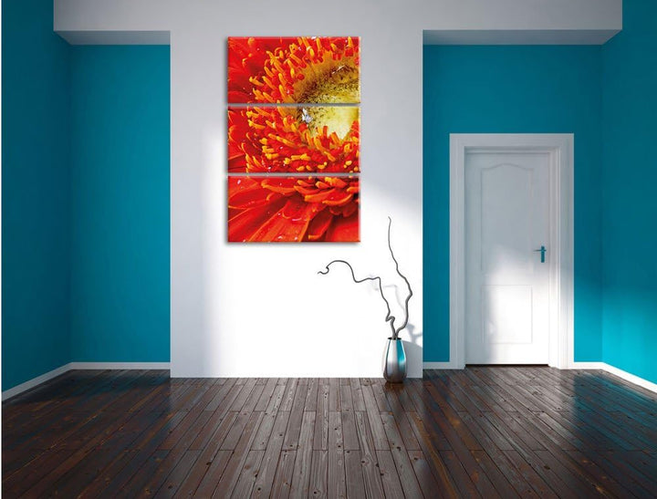 Pixxprint Gerbera Sonne Gras Blumen / 3-Teilig/Gesamtmass 120cm Leinwandbild bespannt auf Holzrahmen