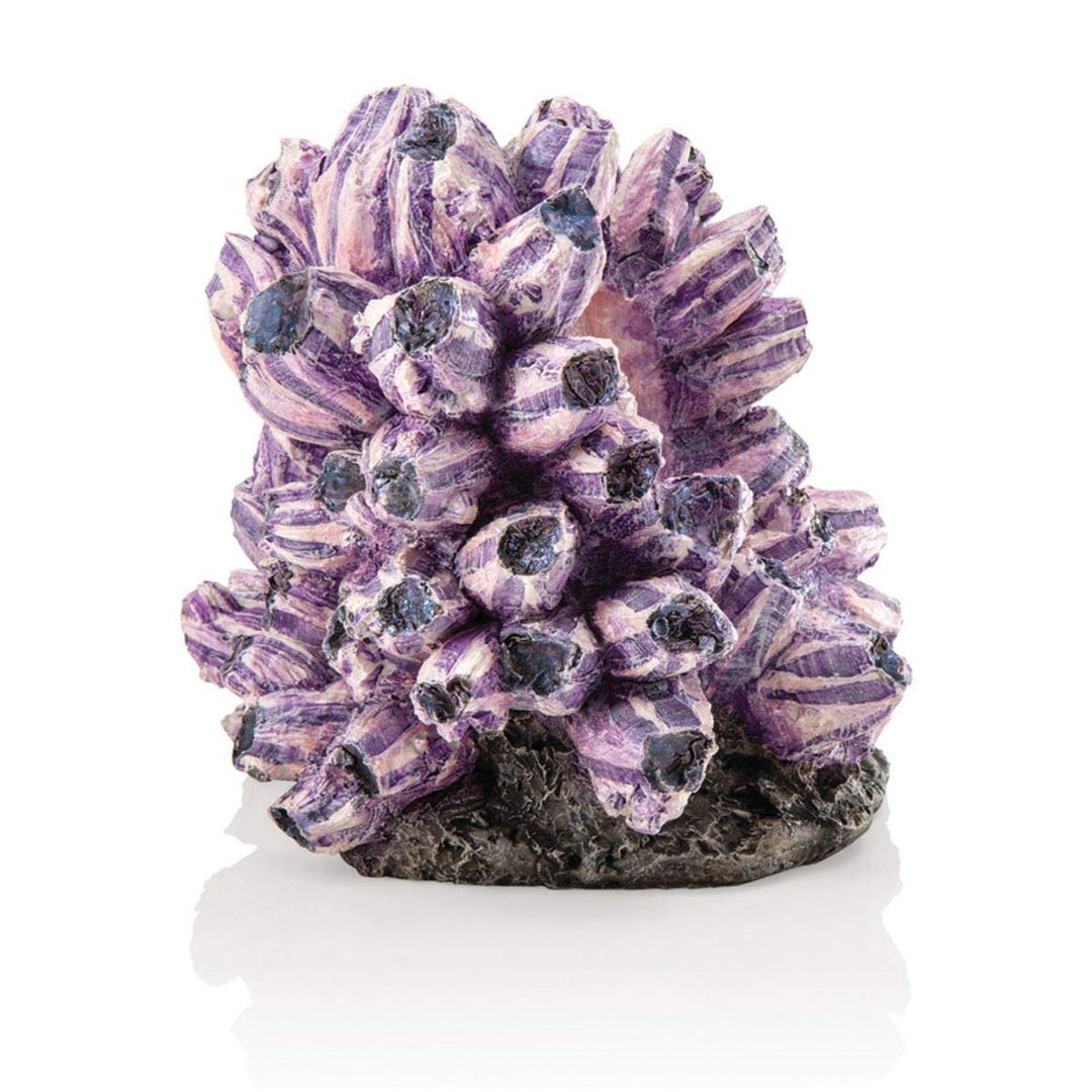 biOrb 48359 Rankentraube Ornament – naturnahe Aquariumdeko in Form von lila Polypen auf grauem Felse