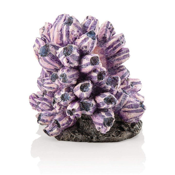 biOrb 48359 Rankentraube Ornament – naturnahe Aquariumdeko in Form von lila Polypen auf grauem Felse