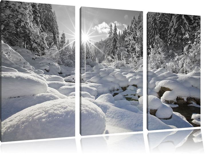 Pixxprint Sonnenstrahlen im schneebedeckten Wald B&W Detail 3-Teiler Leinwandbild 120x80 Bild auf Le