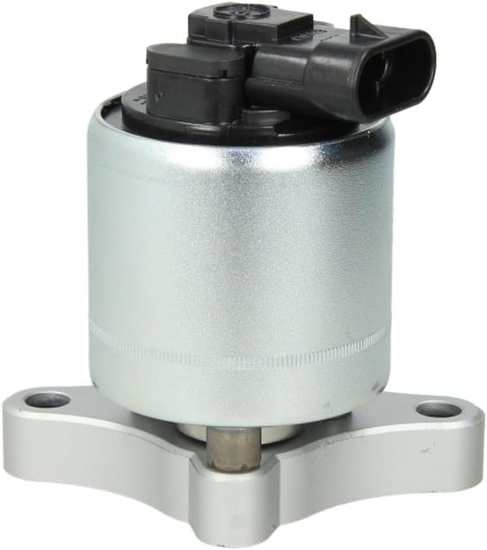 Delphi EG10003-12B1 Agr-Ventil