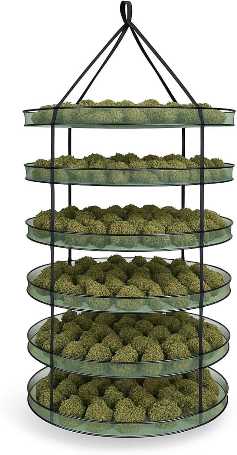 Weedness Trockennetz Grow Ø 90 cm 6 Lagig – Netz Kräuter Trocknen Trocknungsnetz zum Aufhängen Gemüs