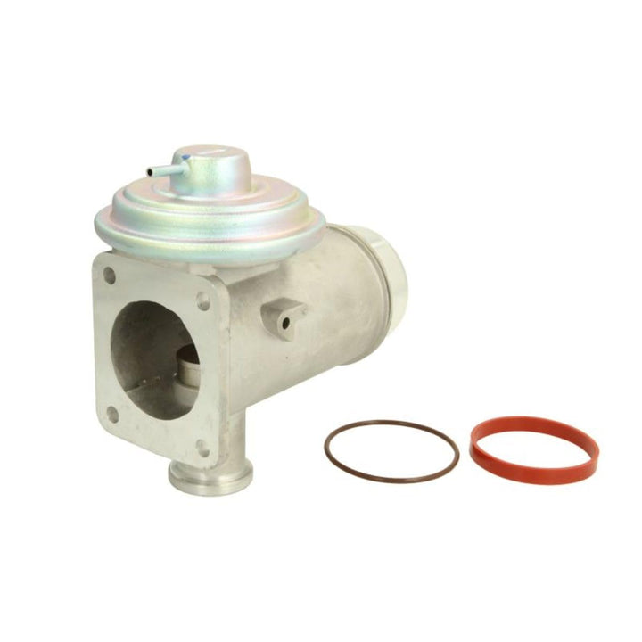 Delphi EG10466-12B1 - AGR-Ventil