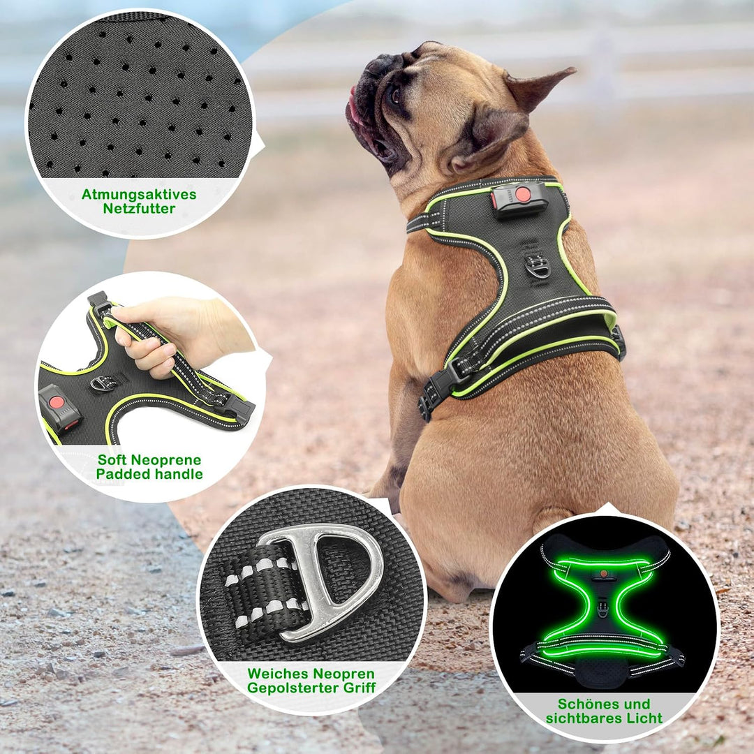Hundegeschirr Leuchtend Wiederaufladbares Leuchtgeschirr für Hunde Led Beleuchtetes Hundegeschirr fü