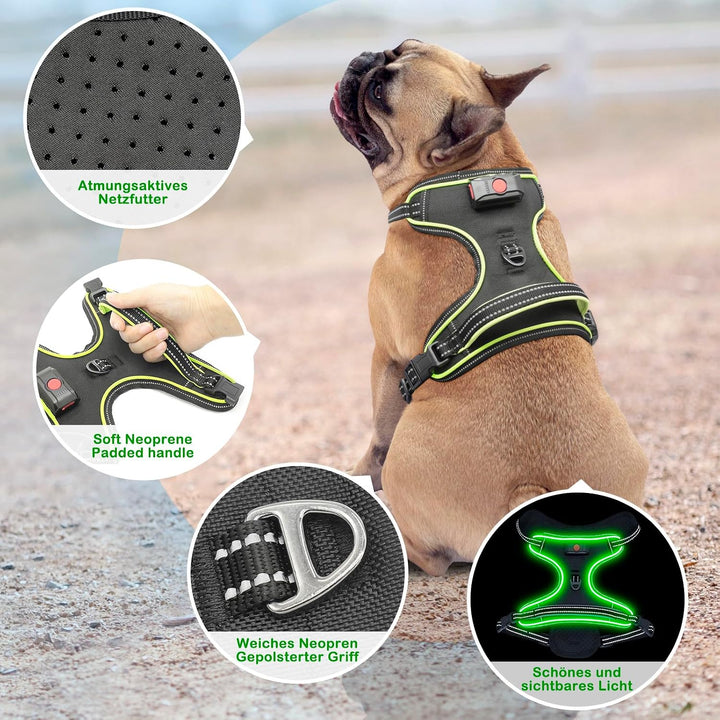 Hundegeschirr Leuchtend Wiederaufladbares Leuchtgeschirr für Hunde Led Beleuchtetes Hundegeschirr fü