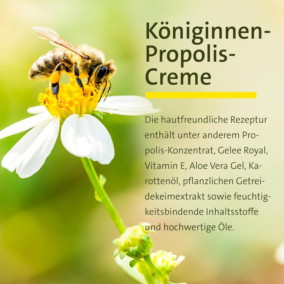 Sanct Bernhard Königinnen Propolis Creme mit Getreidekeim-Extrakt, Karottenöl & Vitamin E 100 ml