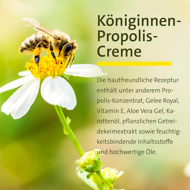 Sanct Bernhard Königinnen Propolis Creme mit Getreidekeim-Extrakt, Karottenöl & Vitamin E 100 ml