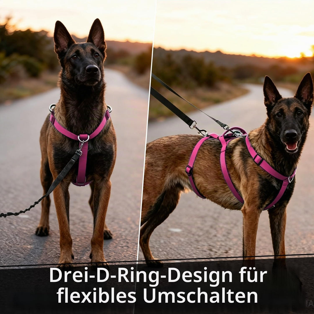 Ausbruchsicheres Hundegeschirr, Anti-Zug Verstellbares Sicherheitsgeschirr mit 3-Punkt-Design und Gr