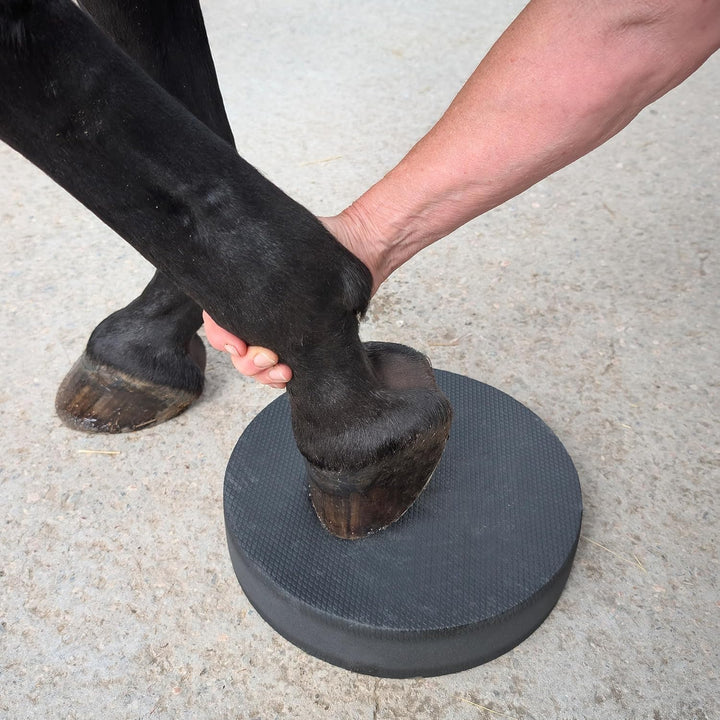 Pferde Balance Pad Dunkelgrau – Koordination &amp; Körpergefühl 2, 2