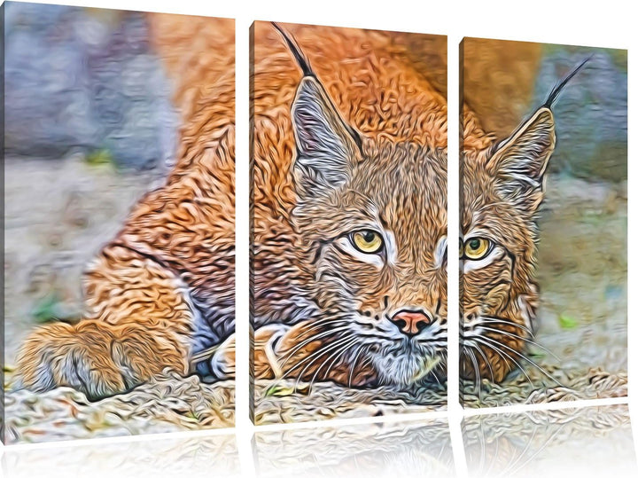 wachsamer Luchs NewArt 3-Teiler Leinwandbild 120x80 Bild auf Leinwand, XXL riesige Bilder fertig ger