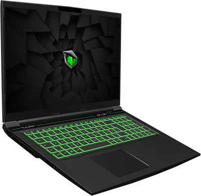 TULPAR T7 V20.6.3 Gaming Laptop | 17,3'' FHD 1920X1080 144HZ IPS LED-Display | Intel Core i7 13700H