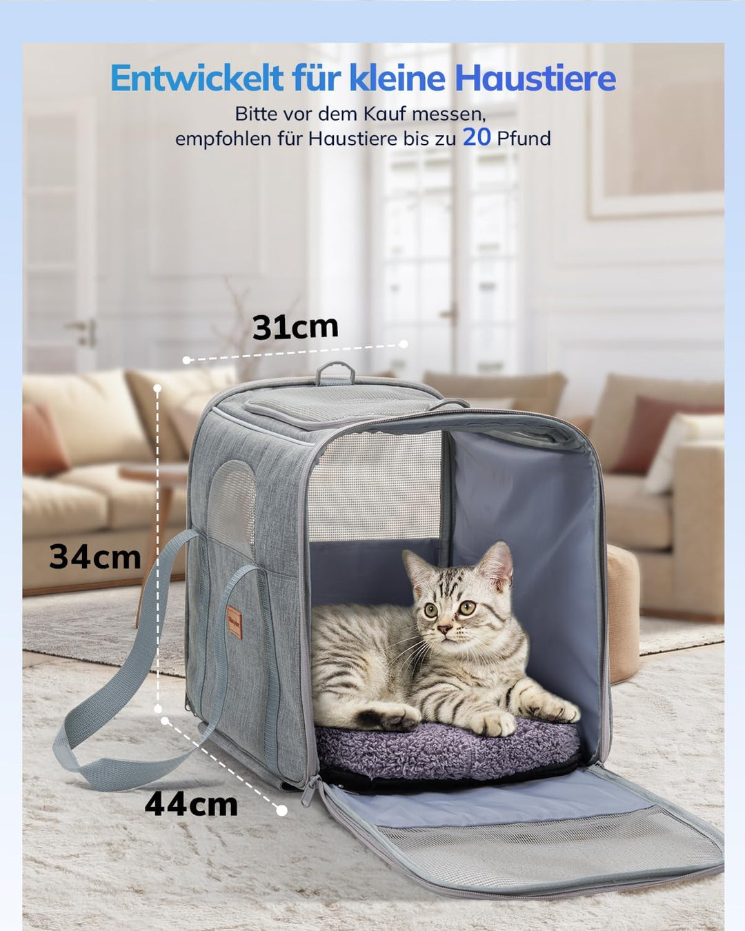 Morpilot Transporttasche für Katze mit Rollen, Faltbarer Katzentransportbox Hundetragetasche Transpo