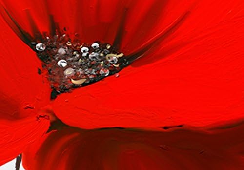 murando Acrylglasbild Blumen 120x40 cm 1 Teile Wandbild auf Acryl Glas Bilder Kunstdruck Moderne Wan
