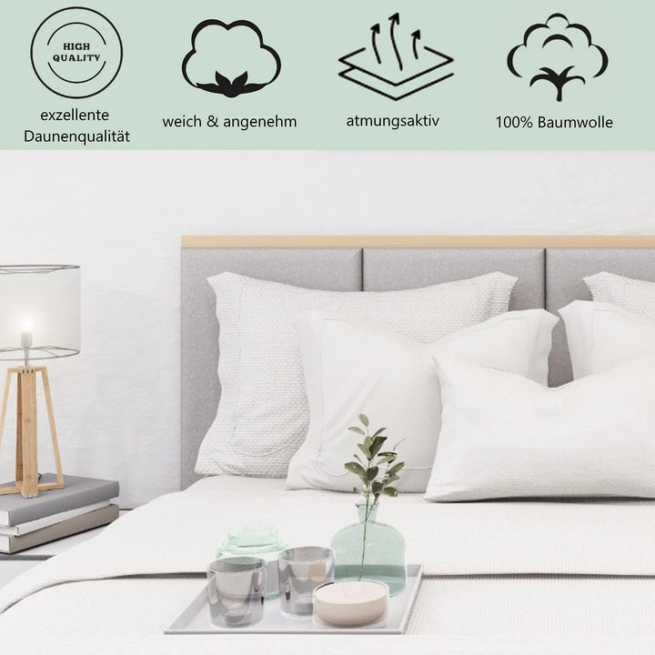 Welt der Träume 2X Daunenkissen | 80x80cm | Füllgewicht: 1380 Gramm | inkl. Kissenbezug aus 100% Bau