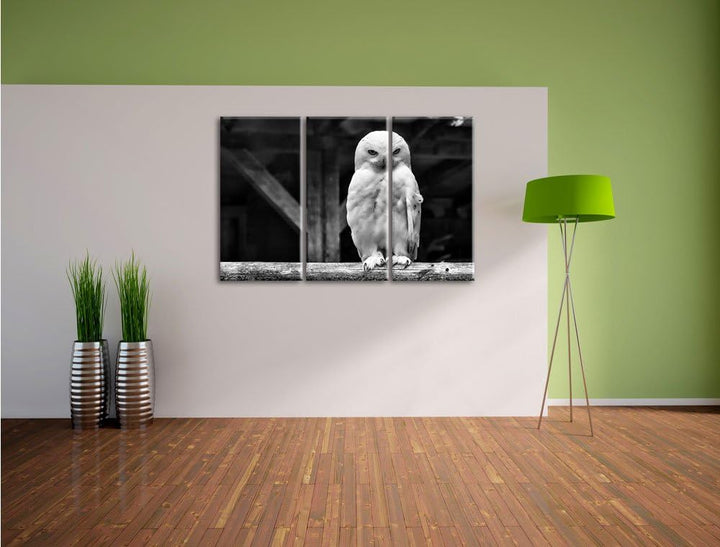 Pixxprint Weisse Schneeeule als Leinwandbild | Grösse: 3 Teilig (120x80) | Wandbild| Kunstdruck | fe