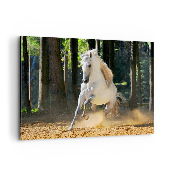 Bilder auf Leinwand 100x70cm Leinwandbild Staub Emotionen Pferd Natur Gross Wanddeko Bild Schlafzimm