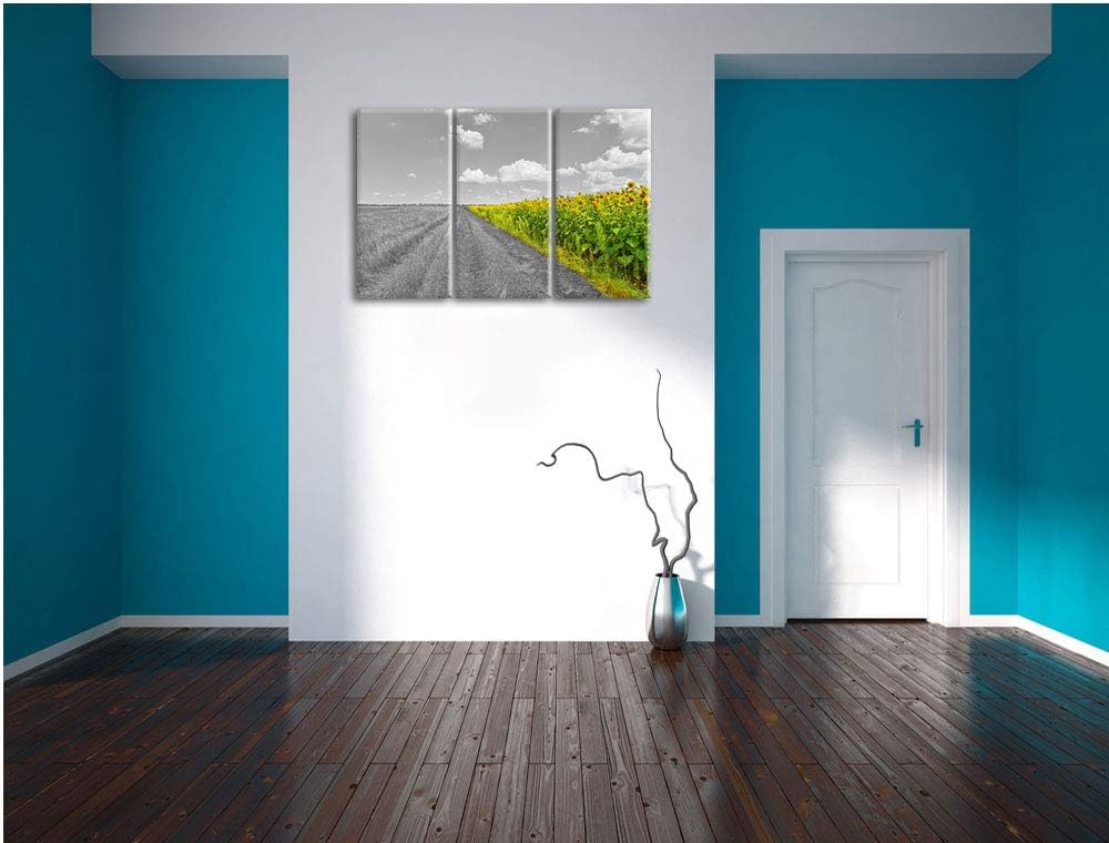 kleiner Feldweg neben Sonnenblumen schwarz/weiss 3-Teiler Leinwandbild 120x80 Bild auf Leinwand, XXL