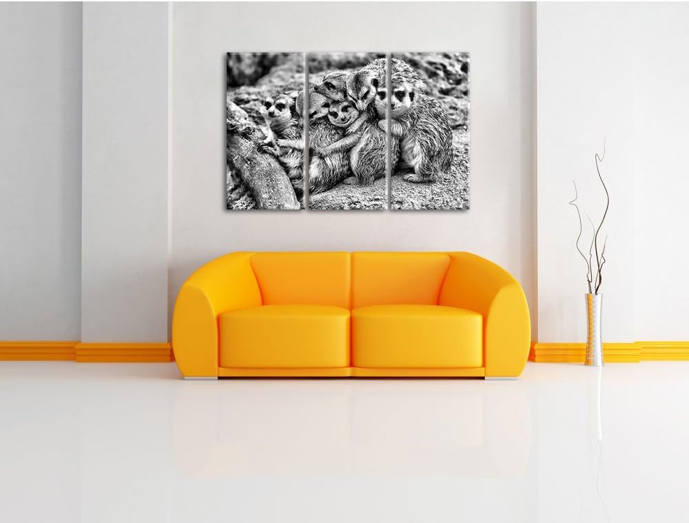 Pixxprint kuschelnde Erdmännchen als Leinwandbild/Grösse: 3 Teilig (120x80) / Wandbild/Kunstdruck/fe