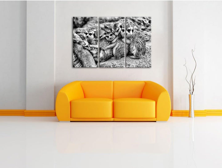 Pixxprint kuschelnde Erdmännchen als Leinwandbild/Grösse: 3 Teilig (120x80) / Wandbild/Kunstdruck/fe