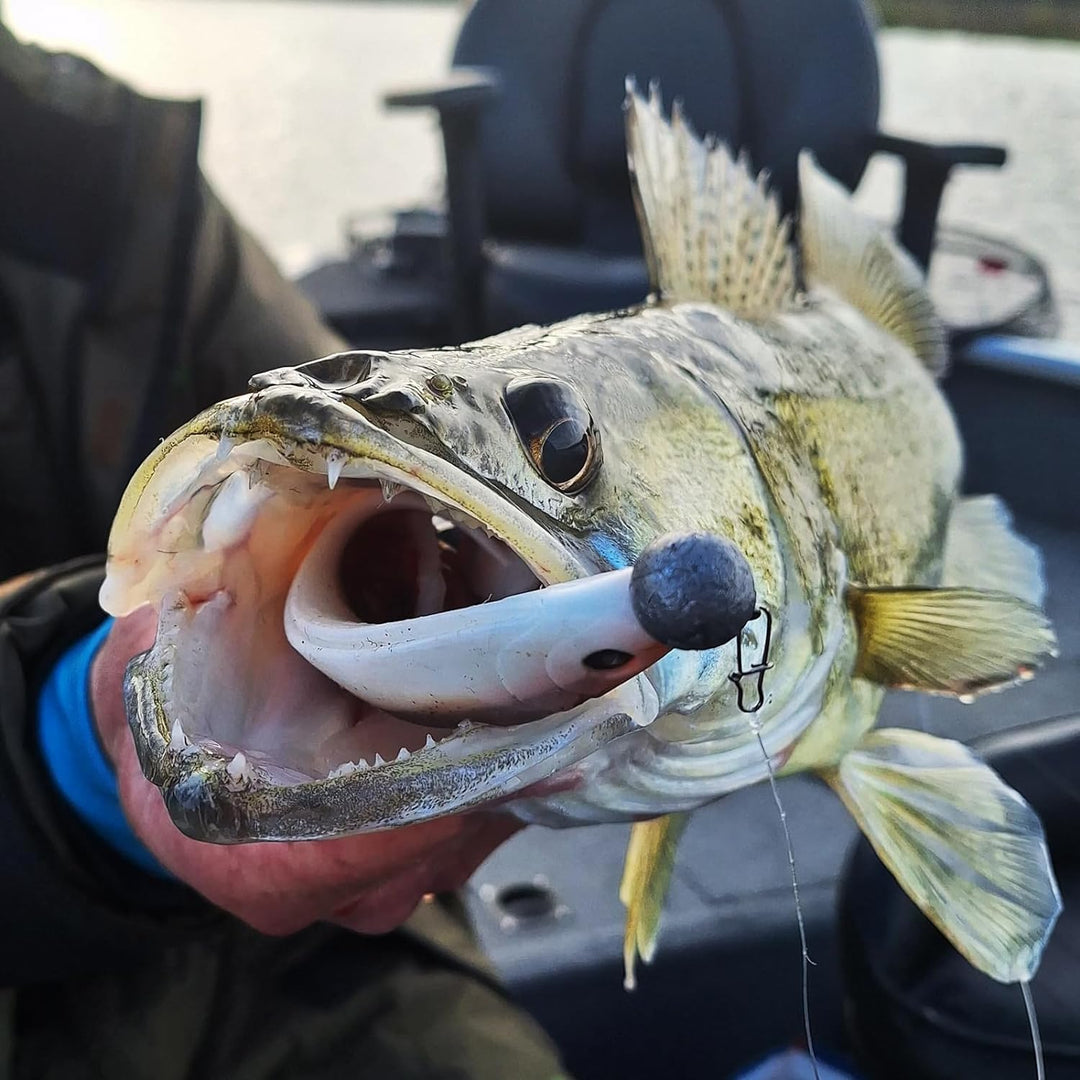 Zanderfang – Jigköpfe Angelhaken-Set Jighaken – Jigkopf Grösse 2/0 und 4/0 für Gummiköder von 8cm bi