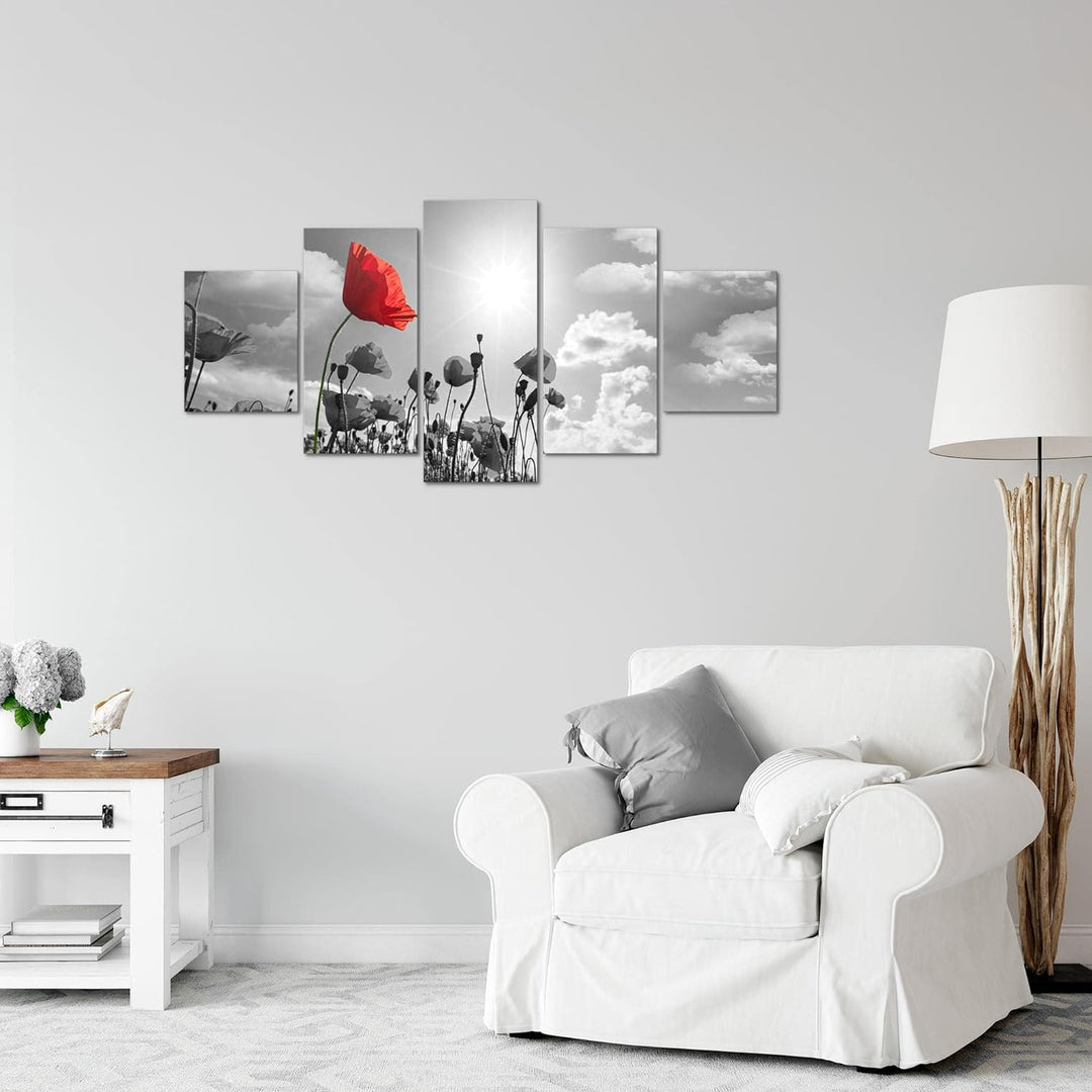 Runa Art Wandbilder Blumen Mohnblume 5 Teilig Bild auf Vlies Leinwand Deko Wohnzimmer Natur Grau Rot