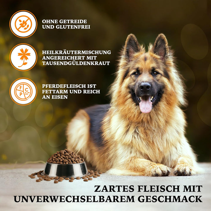 Wildborn Wild Mustang 2 kg getreidefreies Hundefutter mit Pferdefleisch, Süsskartoffel & Aroniabeere
