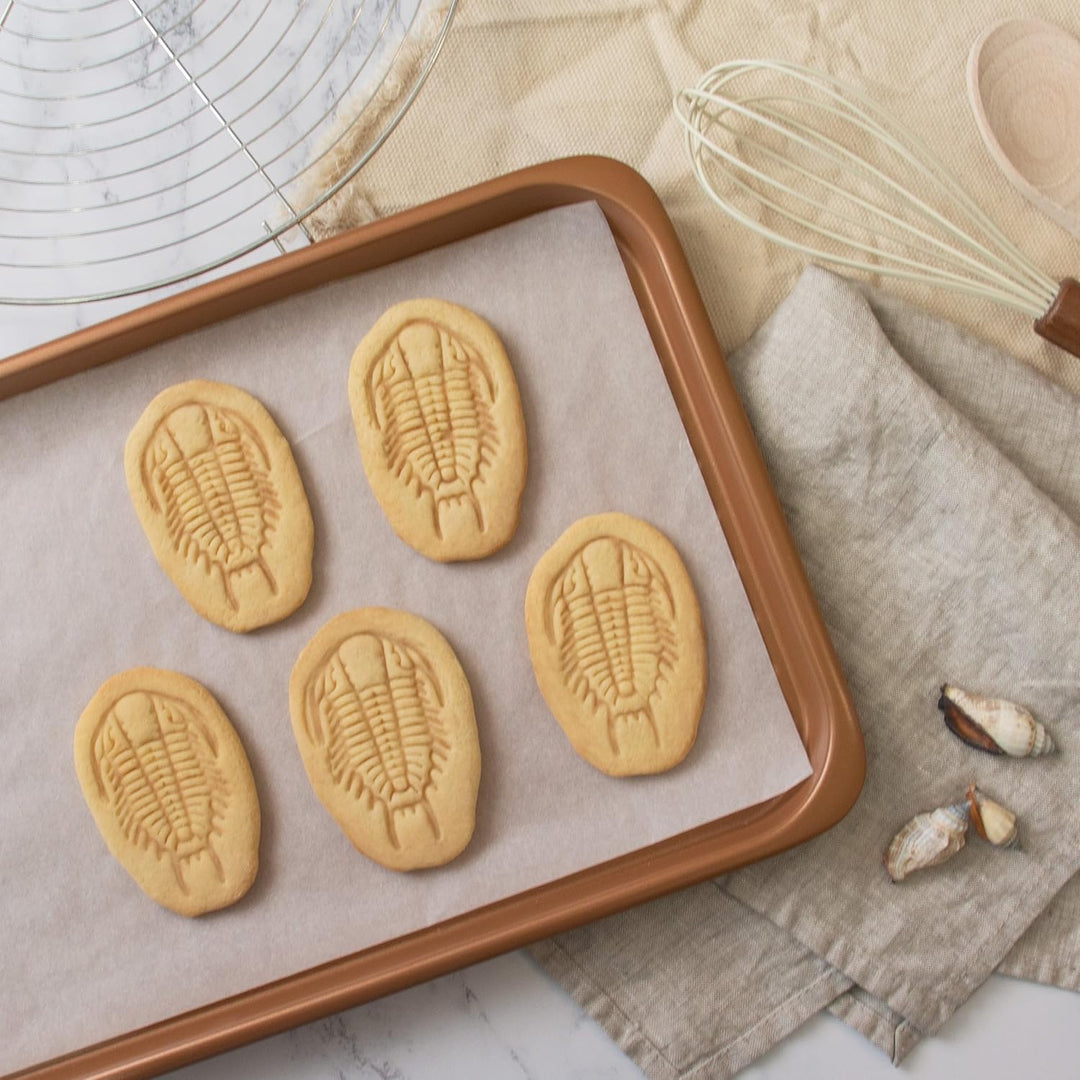 2er Set Ausstechformen (Formen: Ammonit & Trilobiten), 2 Teile, Bakerlogy
